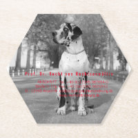 Paper Coasters for photographers