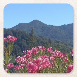 Paper Coasters Mt Tamalpais with Pink Flowers