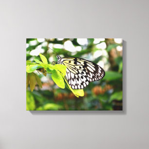 Paper kite butterfly canvas print