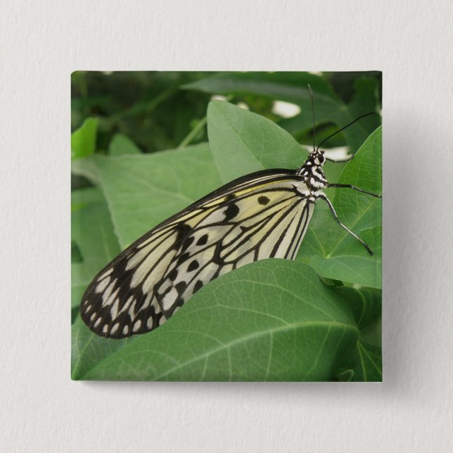 Paper Kite Butterfly Macro Button (Front)