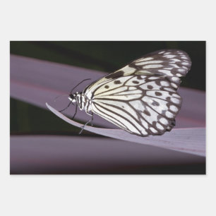 Paper kite butterfly on purple