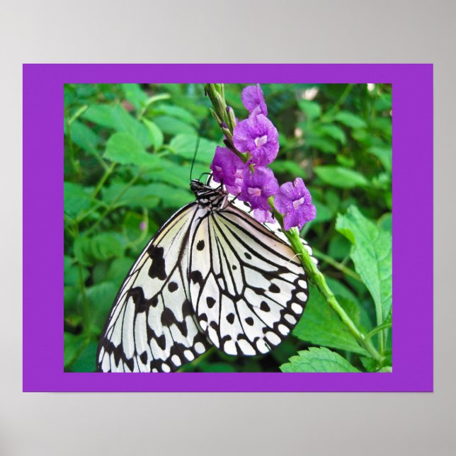 Paper Kite on Purple Flower Poster (Front)