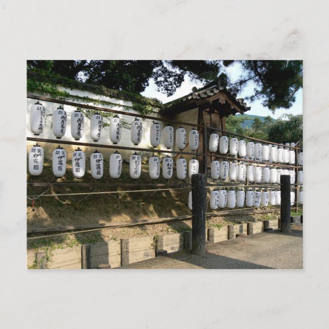 Paper Lanterns Outside Japanese Temple Postcard (Front)