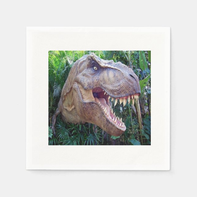 Paper Napkins (Front)