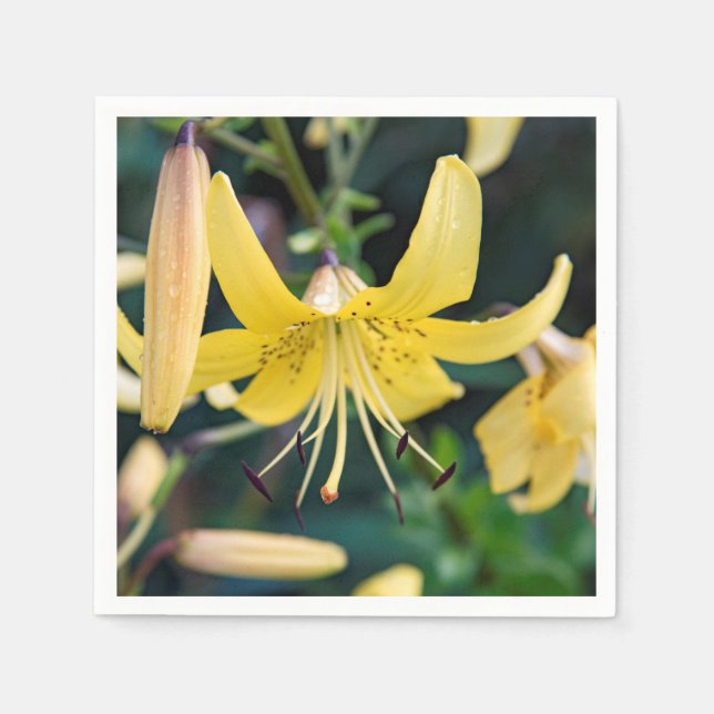 Paper Napkins (Front)