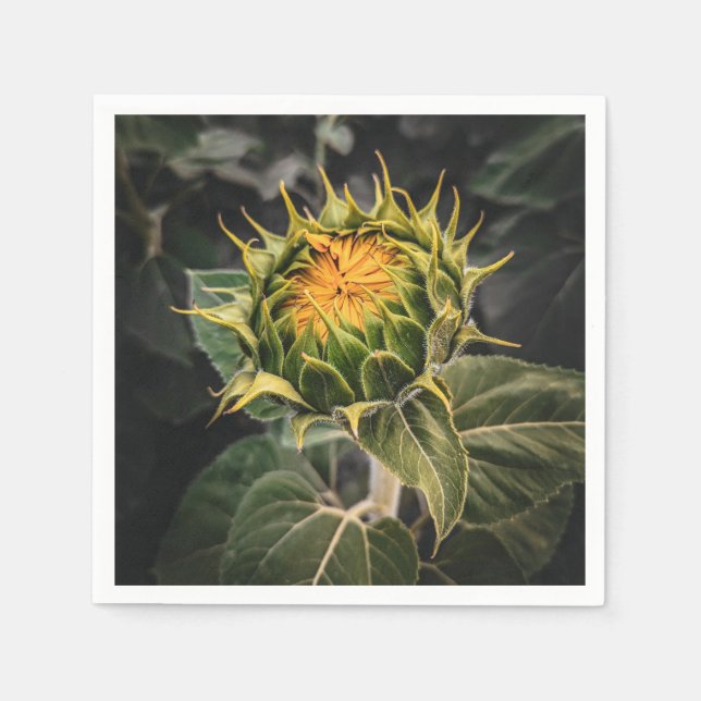 Paper Napkins (Front)