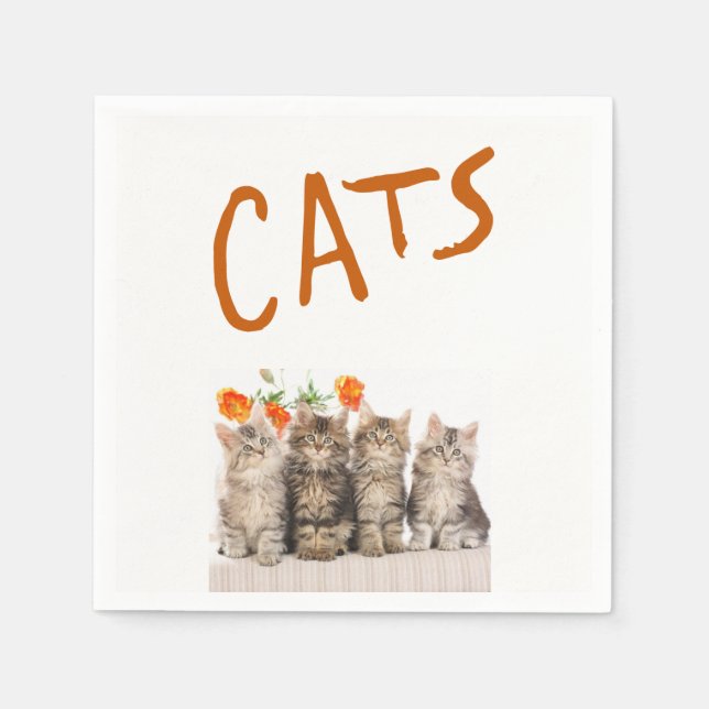 Paper Napkins (Front)