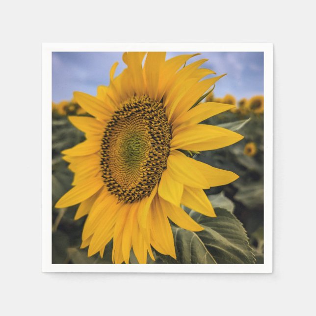 Paper Napkins (Front)