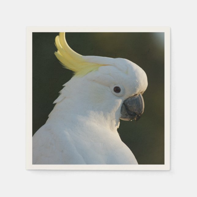 paper napkins Kakadu (Front)