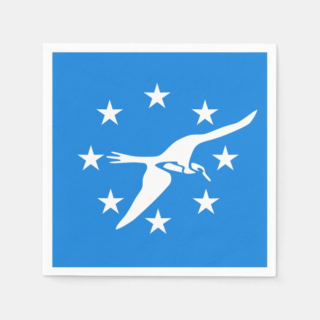 Paper napkins with flag of Corpus Christi (Front)