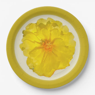 Paper Plate