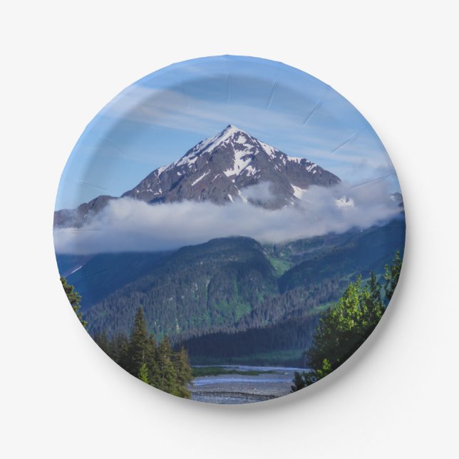 * PAPER PLATE (Front)