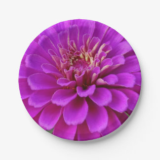Paper Plate