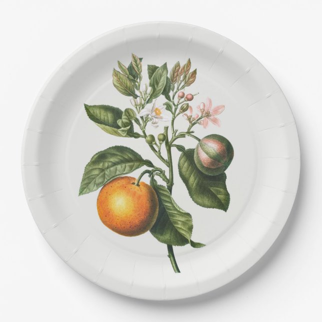 PAPER PLATE : BITTER ORANGE BLOSSOM (Front)