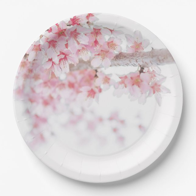 PAPER PLATE : CHERRY BLOSSOM (Front)