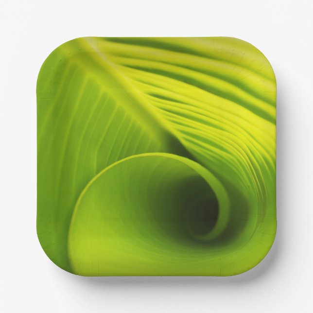 Paper Plate."Eco-Friendly Elegance: Leaf Design Di Plate (Front)