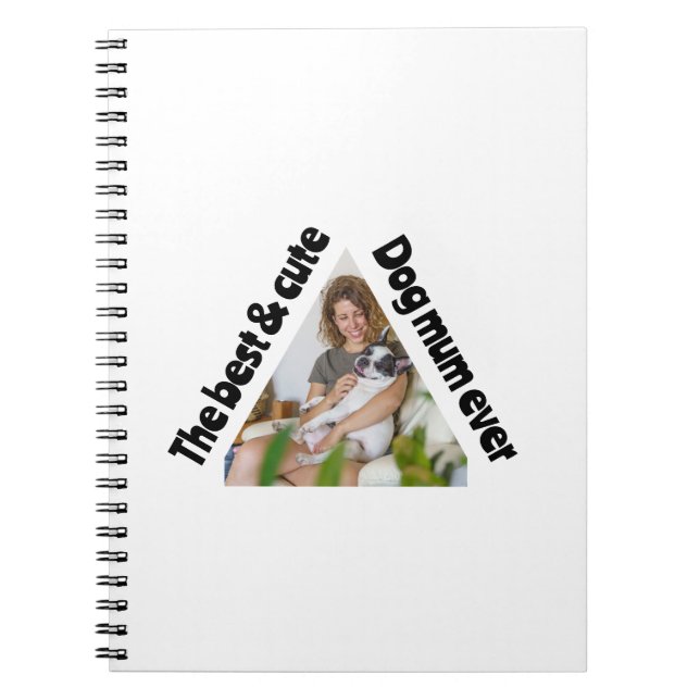 Paper Plate Notebook (Front)