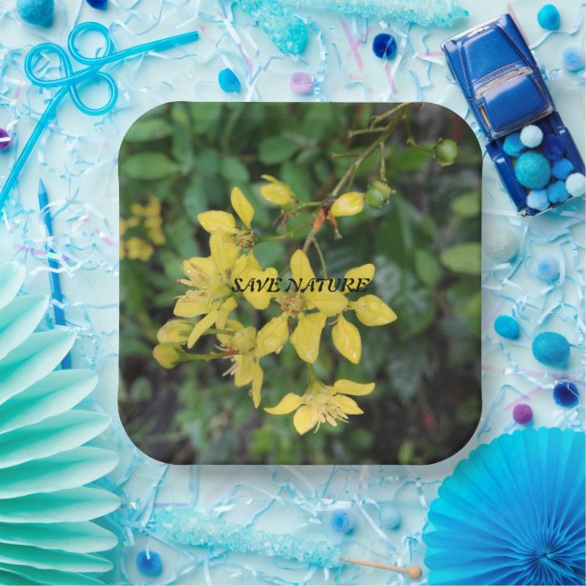 PAPER PLATE WITH NATURE PROTECTION MESSAGE (Party)