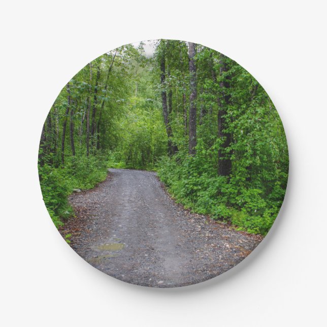 Paper Plates (Front)