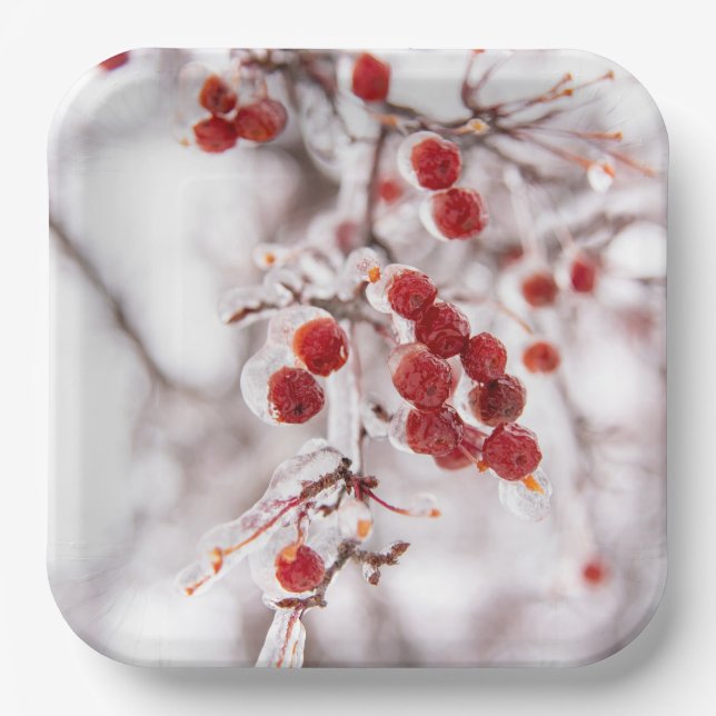 Paper Plates (Front)