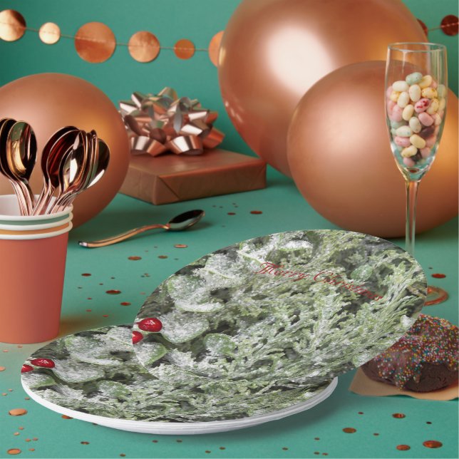 Paper plates  (Multi)
