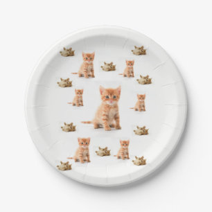 Paper Plates Kitten