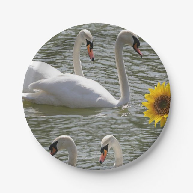 Paper plates Swans (Front)