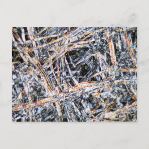 Paper under the microscope postcard