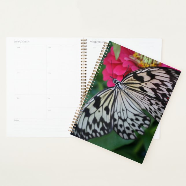 Paperkite Butterfly Planner (Display)