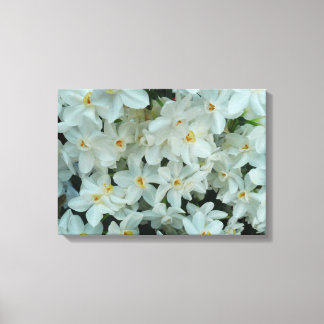 Paperwhite Narcissus Delicate White Flowers Canvas Print
