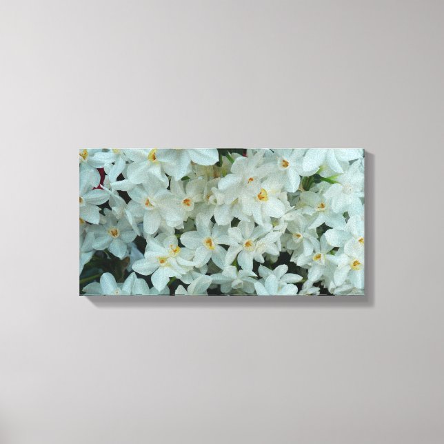 Paperwhite Narcissus Delicate White Flowers Canvas Print (Front)