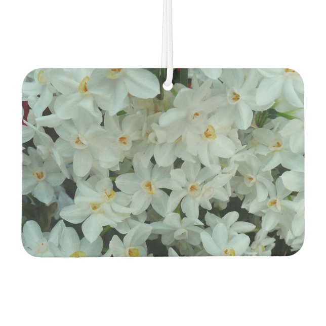 Paperwhite Narcissus Delicate White Flowers Car Air Freshener (Front)