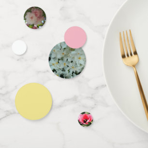 Paperwhite Narcissus Delicate White Flowers Confetti