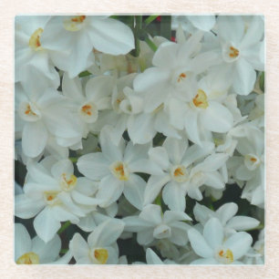 Paperwhite Narcissus Delicate White Flowers Glass Coaster
