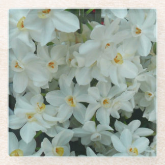 Paperwhite Narcissus Delicate White Flowers Glass Coaster