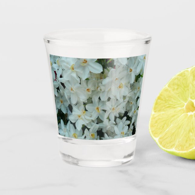 Paperwhite Narcissus Delicate White Flowers Shot Glass (Front)