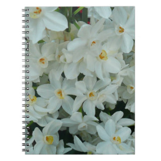 Paperwhite Narcissus Delicate White Flowers Spiral Notebook