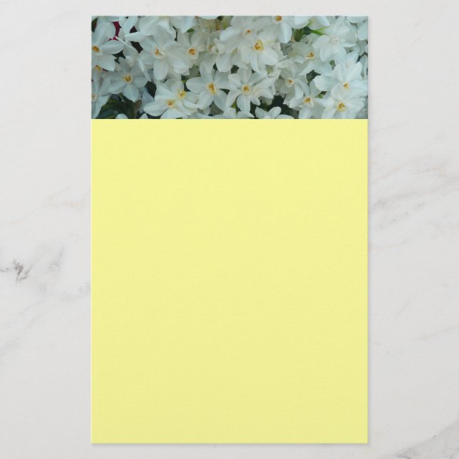 Paperwhite Narcissus Delicate White Flowers Stationery (Front)
