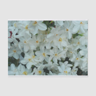 Paperwhite Narcissus Delicate White Flowers Tissue Paper