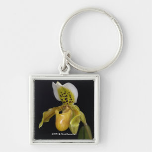 Paphiopedilum Exul Key Ring