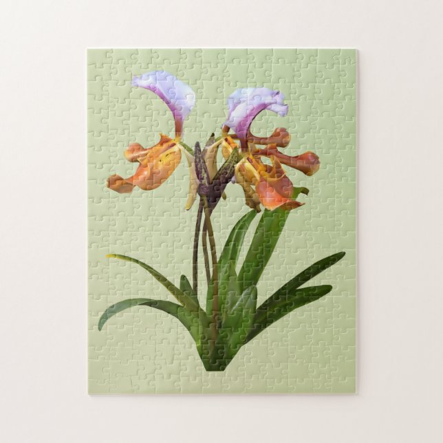 Paphiopedilum Orchids Intertwined Jigsaw Puzzle (Vertical)