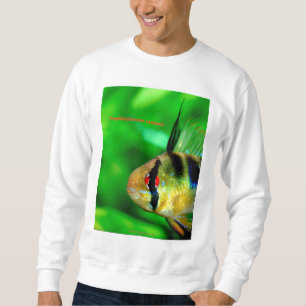 Papilio Cromis Ramisey Sweatshirt