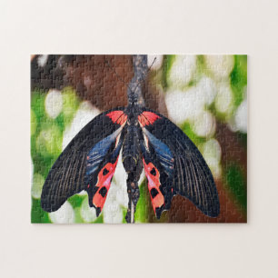 Papilio Rumanzovia Butterfly. Jigsaw Puzzle