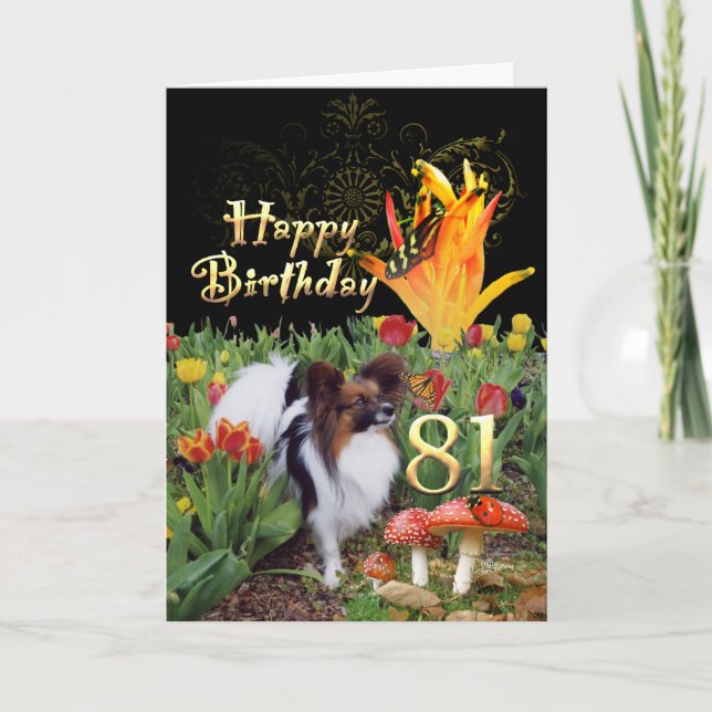 Papillion dog Happy 81 Birthday card Age specific (Front)