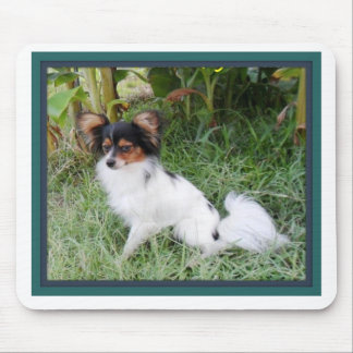 Papillion Mouse Pad