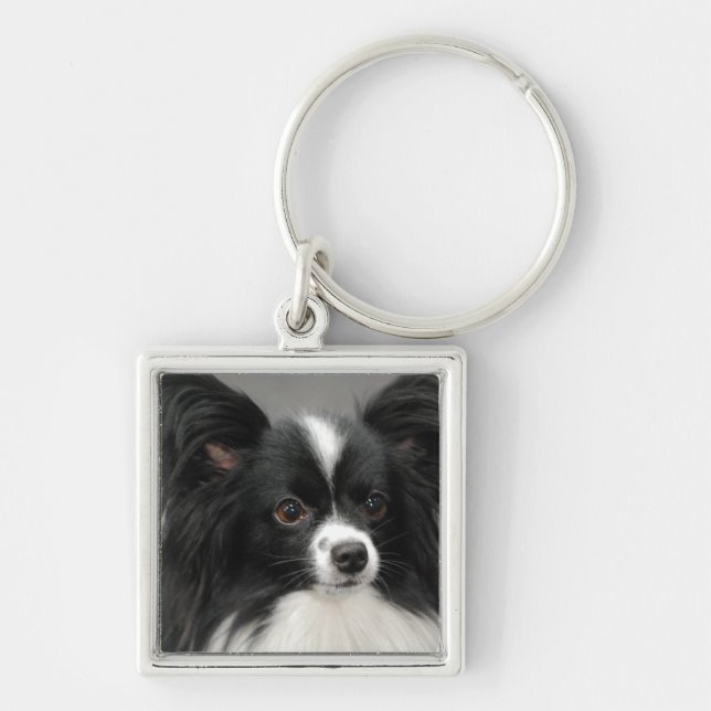 papillon-17.jpg key ring (Front)