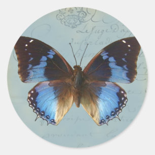 Papillon bleu classic round sticker