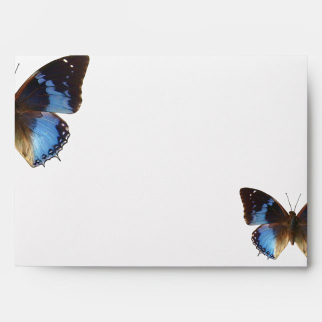 Papillon bleu envelope (Front)