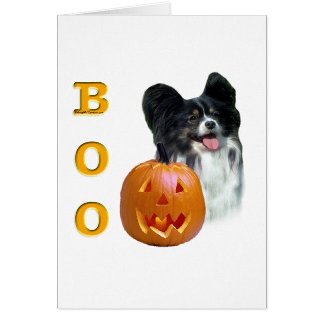 Papillon Boo (Front)