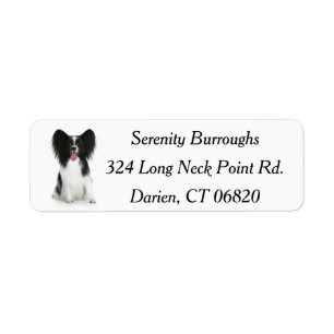 Papillon Brown & White Puppy Dog